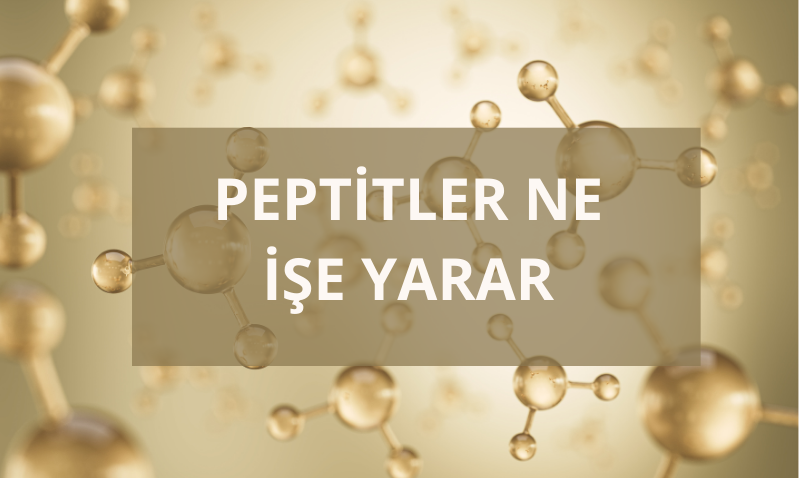 Peptitler Ne İşe Yarar?